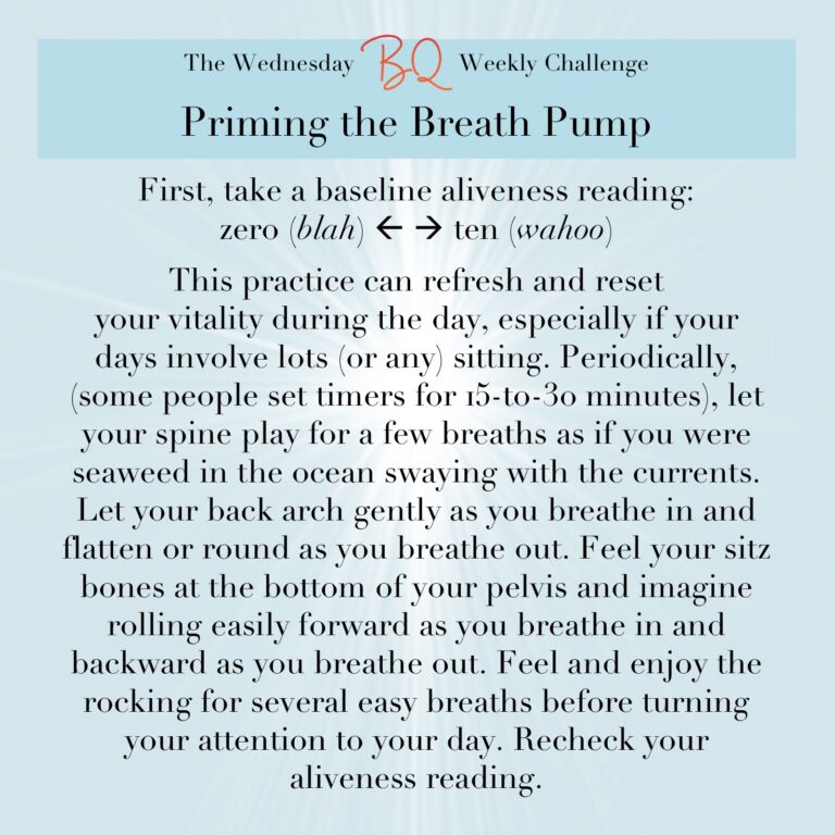 BQ Challenge : Priming the Breath Pump - Foundation for Conscious Living