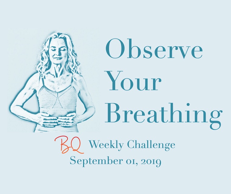 BQ Challenge: Observe Your Breathing - Foundation for Conscious Living